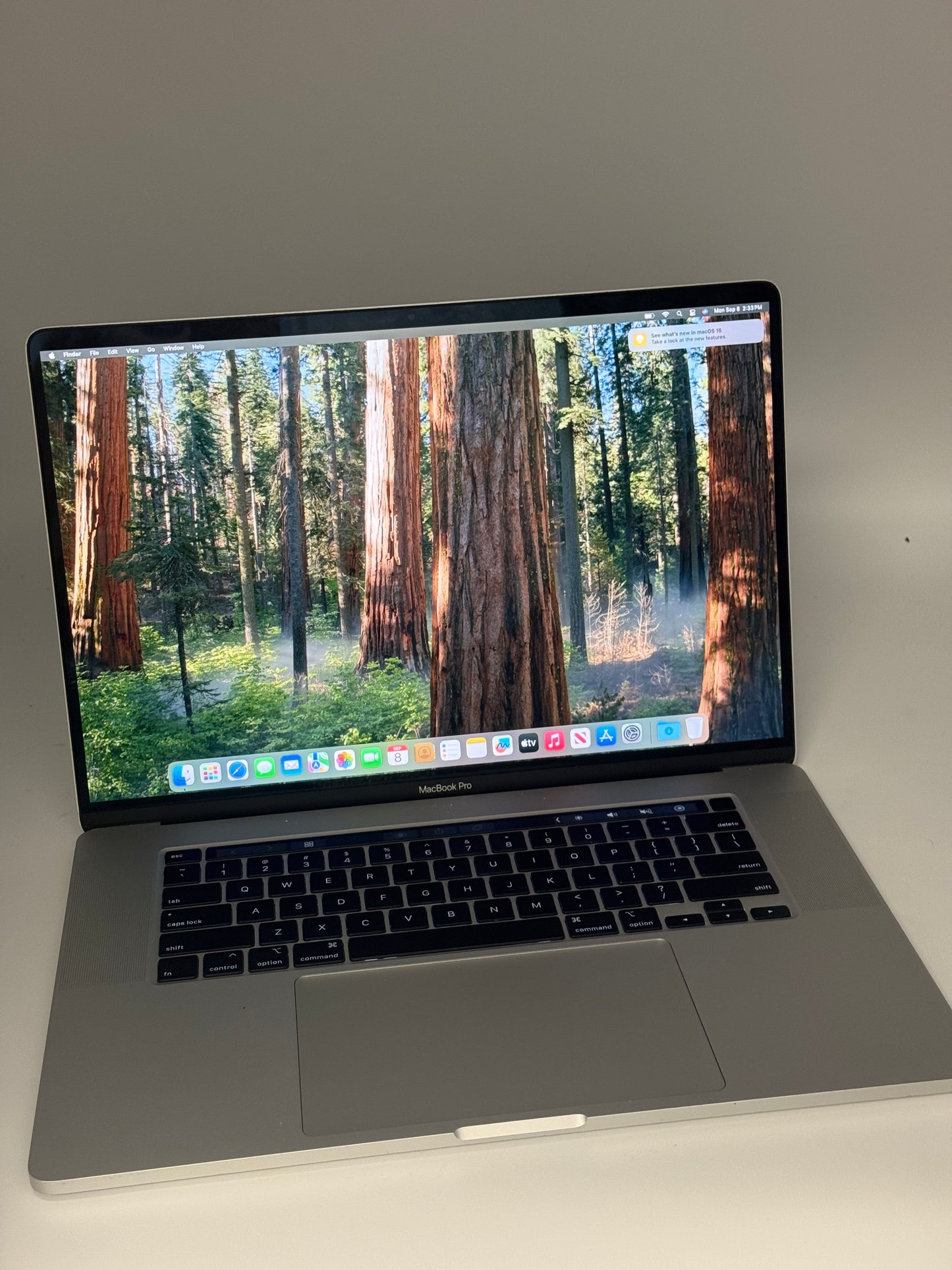 Apple Macbook Pro 16" A2141 2019 - Gray - 512GB Core i7 Laptop NO CHARGER