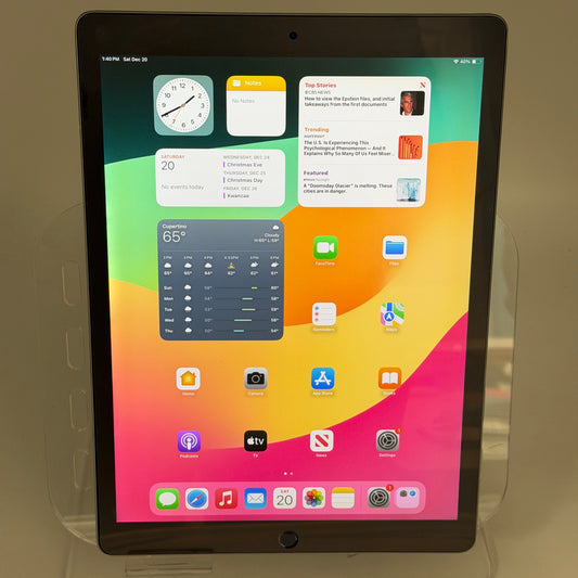 Apple iPad Pro 12.9” 2nd Gen 64GB WiFi Only Gray A1670 *SCREEN BURN-IN*