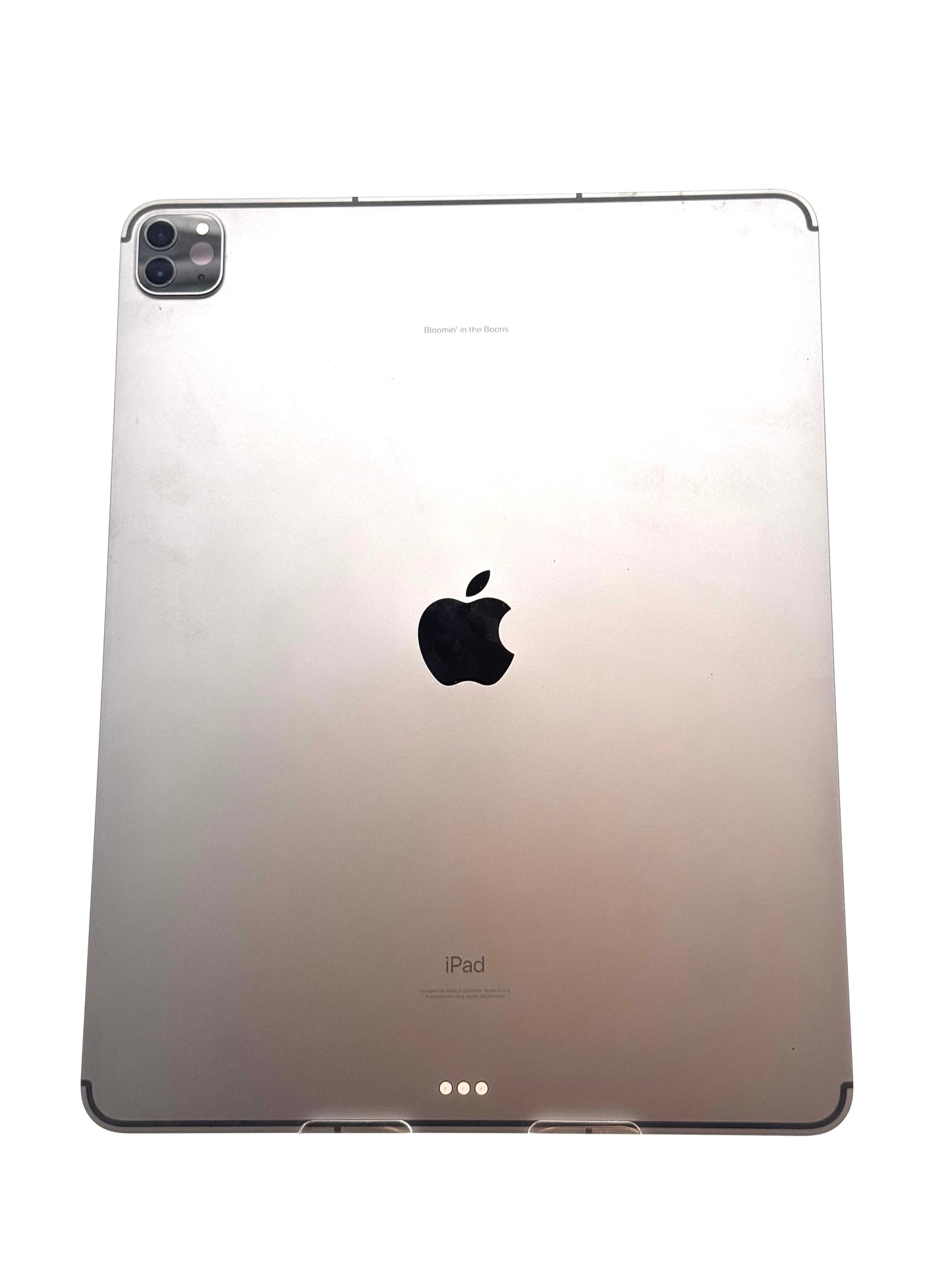 Apple iPad Pro 12.9" (5th Gen) A2379